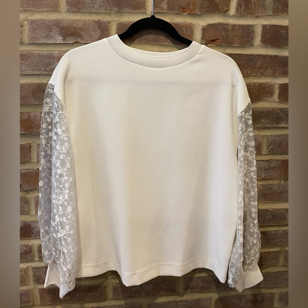 Zara sheer organza long sleeve sleeve shirt